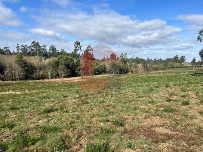 Terreno para Venda em Oleiros Foto 19