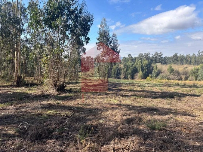 Terreno para Venda em Oleiros Foto 12