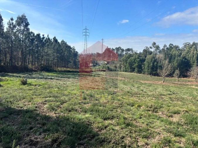 Terreno para Venda em Oleiros Foto 23