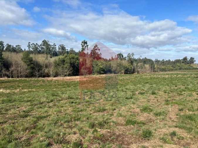 Terreno para Venda em Oleiros Foto 5