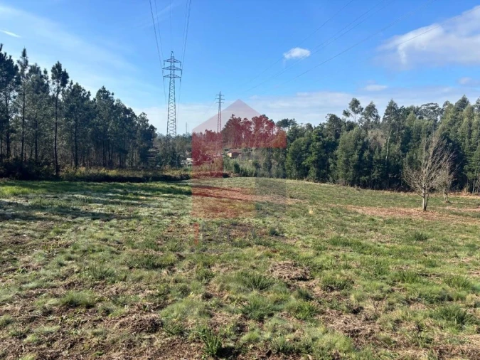 Terreno para Venda em Oleiros Foto 2