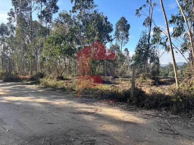 Terreno para Venda em Oleiros Foto 14