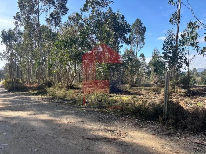 Terreno para Venda em Oleiros Foto 25