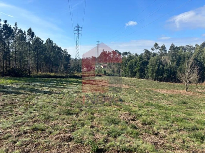 Terreno para Venda em Oleiros Foto 6