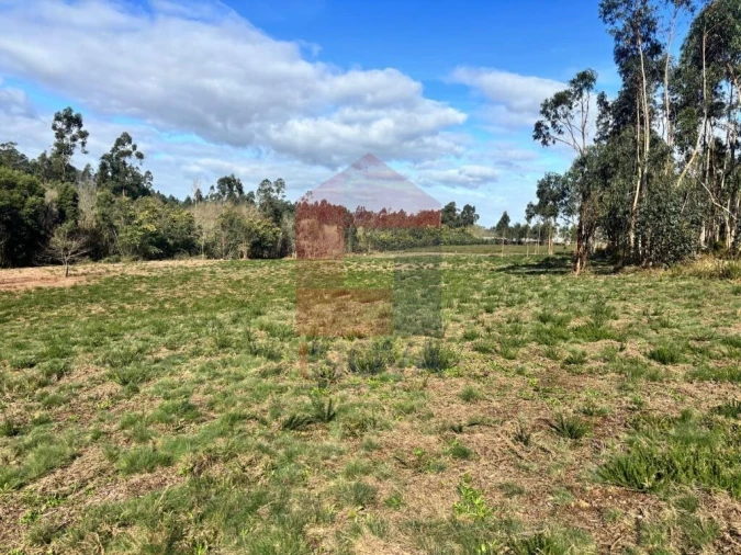 Terreno para Venda em Oleiros Foto 17