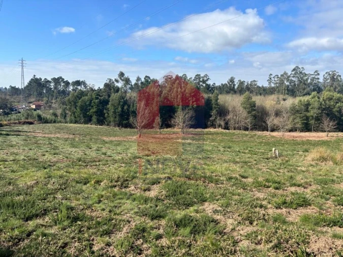 Terreno para Venda em Oleiros Foto 11