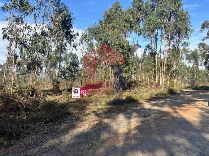 Terreno para Venda em Oleiros