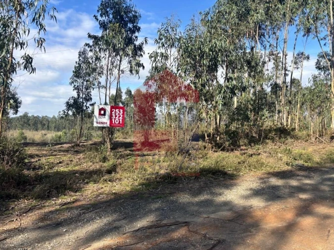 Terreno para Venda em Oleiros Foto 32