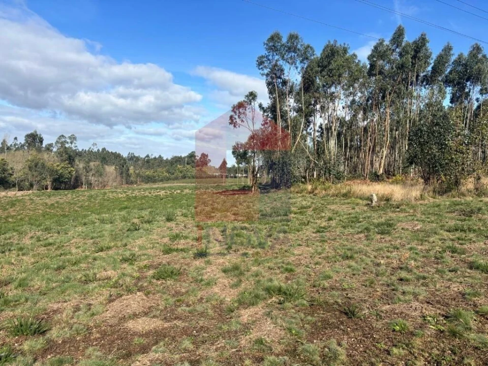 Terreno para Venda em Oleiros Foto 3
