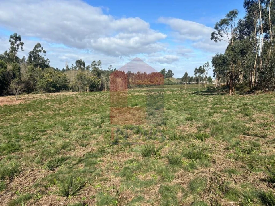 Terreno para Venda em Oleiros Foto 20