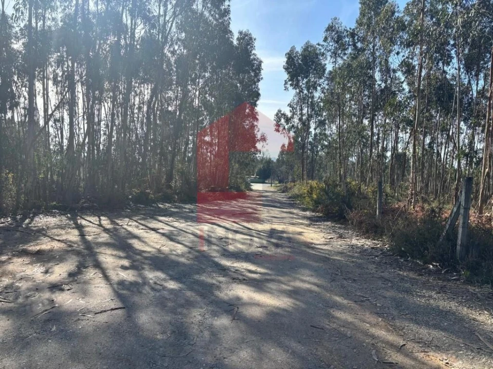 Terreno para Venda em Oleiros Foto 26