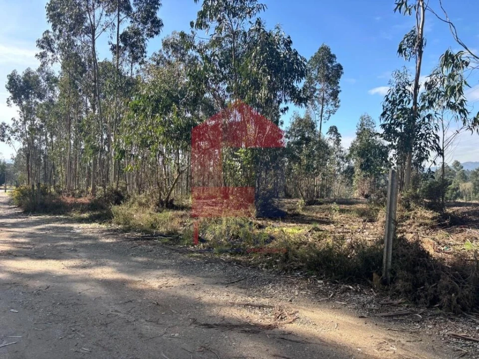 Terreno para Venda em Oleiros Foto 31