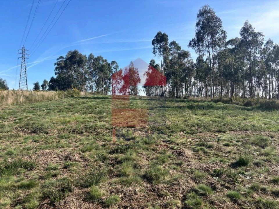 Terreno para Venda em Oleiros Foto 8