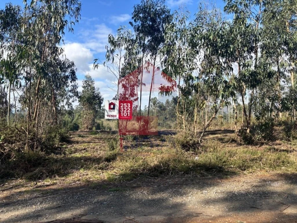 Terreno para Venda em Oleiros Foto 30