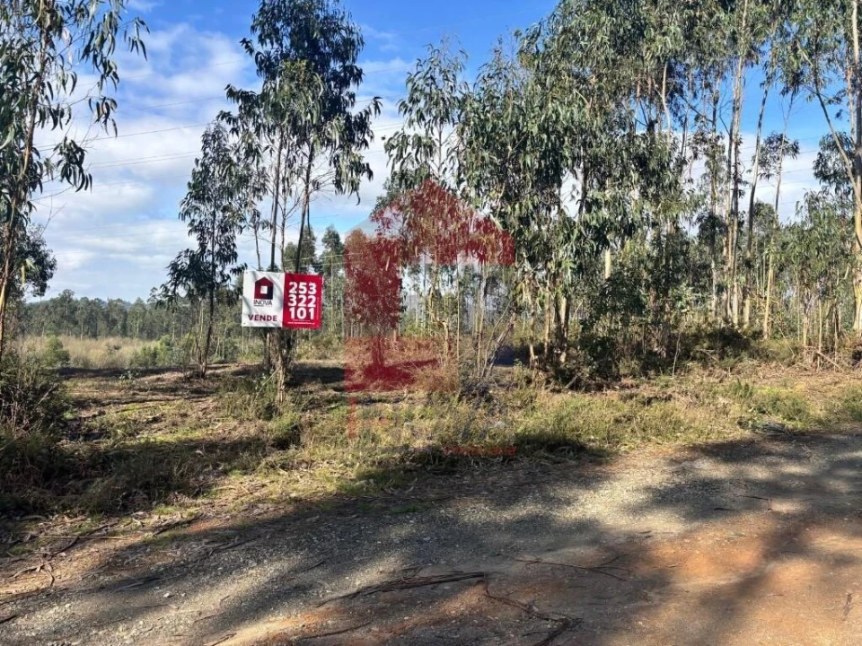 Terreno para Venda em Oleiros Foto 32