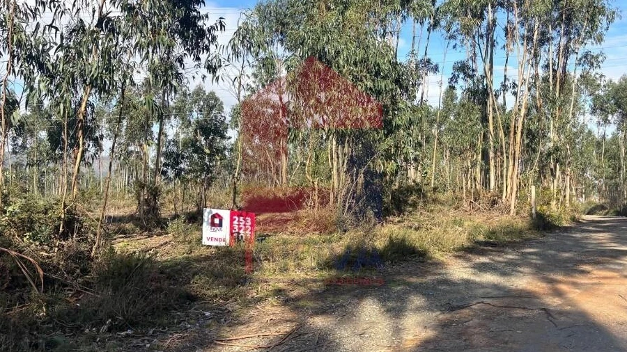 Terreno para Venda em Oleiros