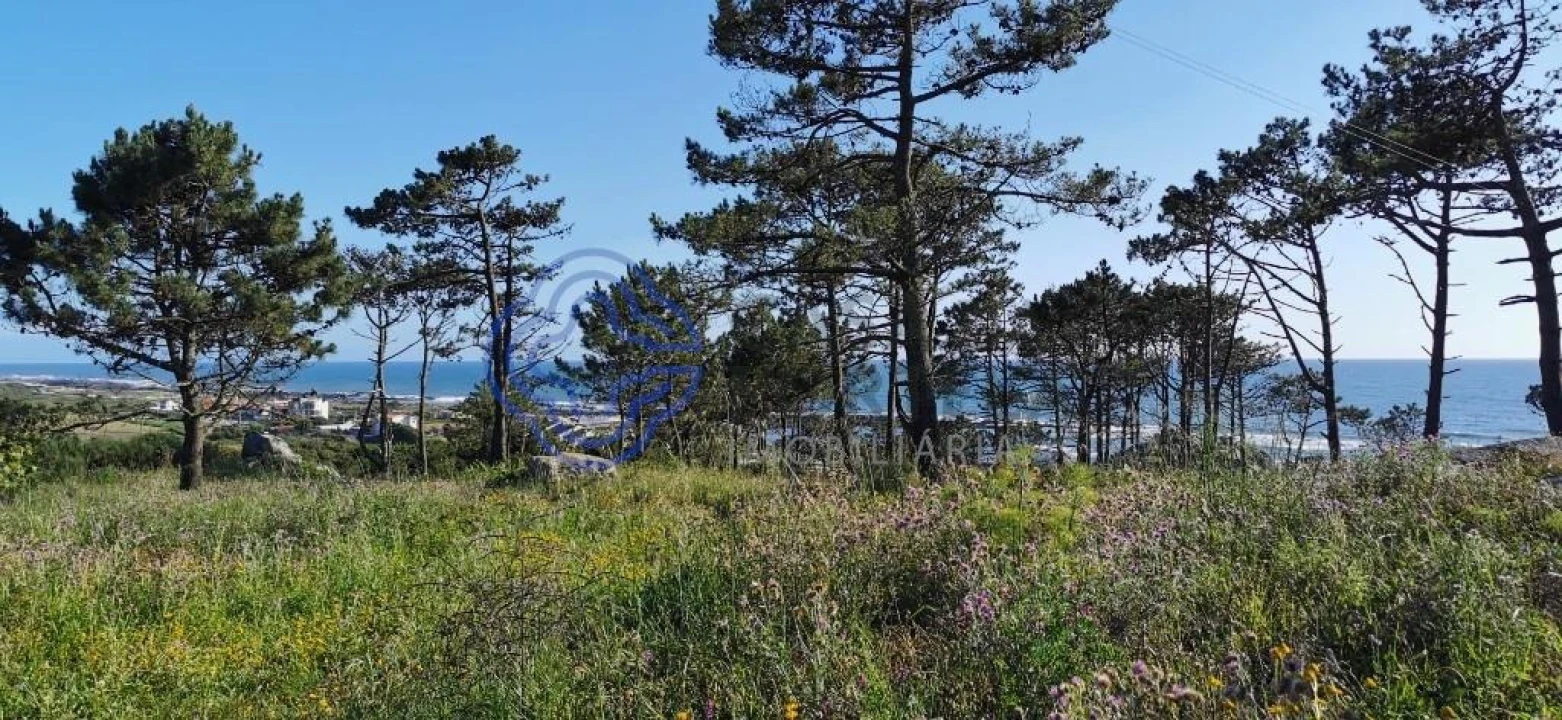 Terreno para Venda em Carreço Foto 7