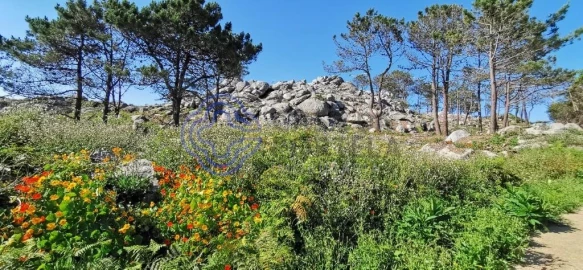 Terreno para Venda em Carreço