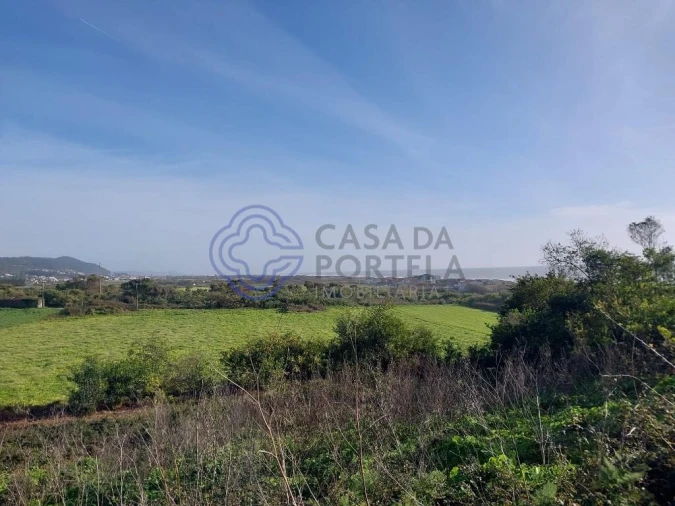 Terreno para Venda em Carreço Foto 3