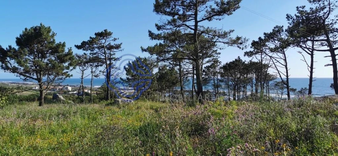 Terreno para Venda em Carreço Foto 7