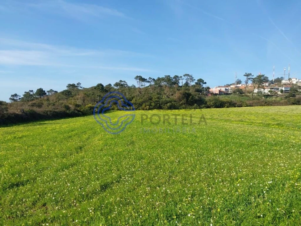 Terreno para Venda em Carreço Foto 9