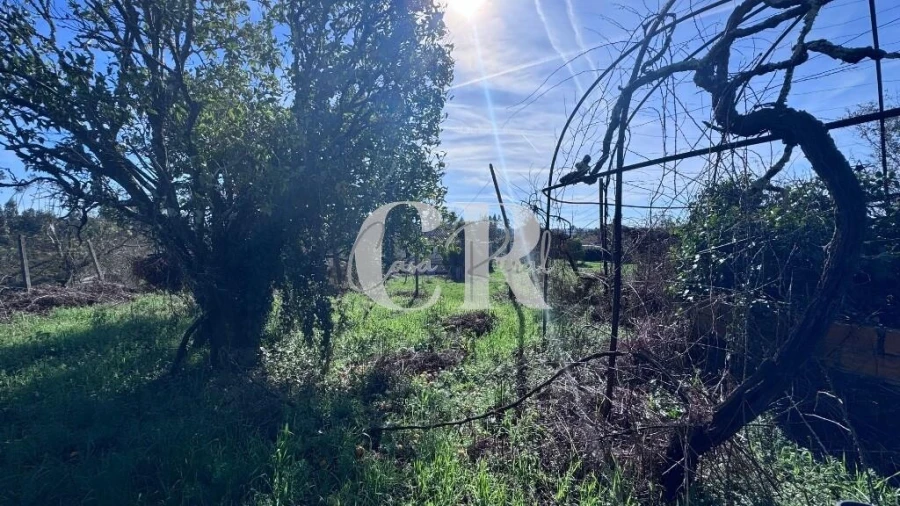 Moradia T3 para Venda em Pedrogão Grande Foto 24