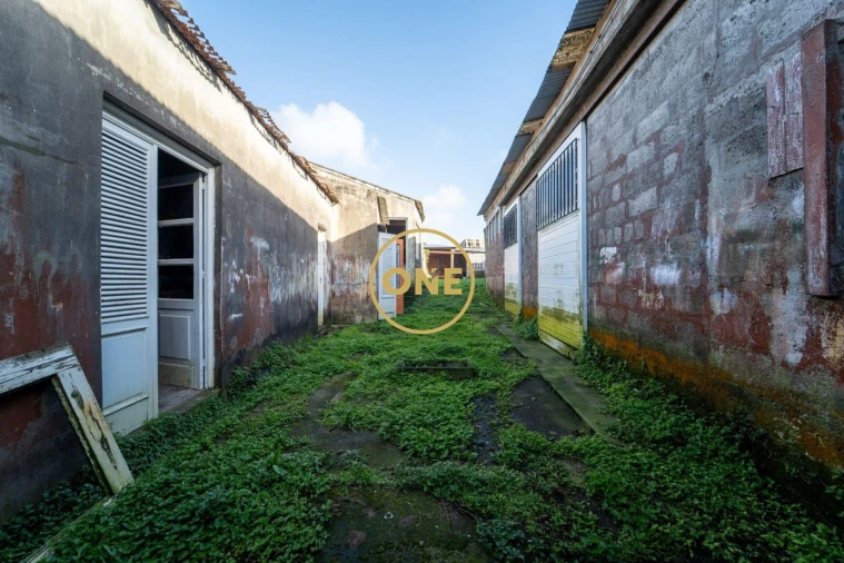 Armazém para Venda em Pico da Pedra Foto 14