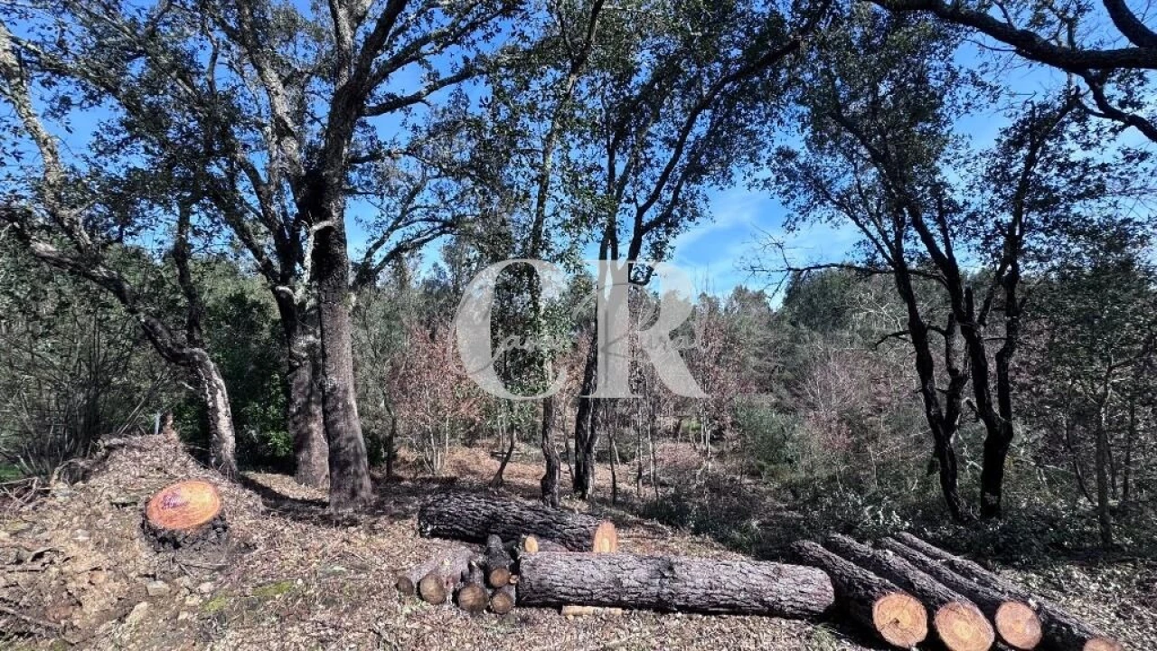 Moradia T3 para Venda em Graça Foto 4