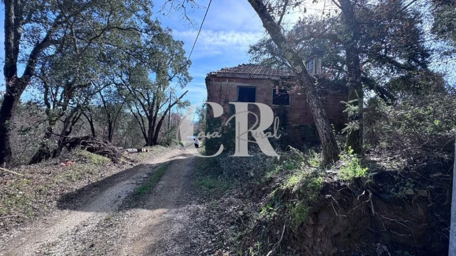 Moradia T3 para Venda em Graça Foto 1