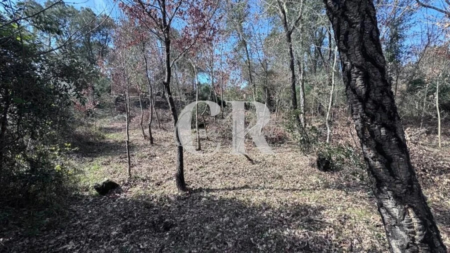 Moradia T3 para Venda em Graça Foto 5