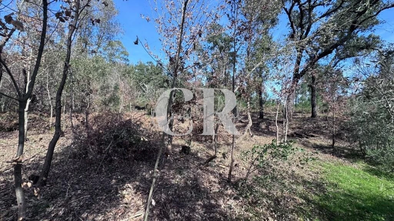 Moradia T3 para Venda em Graça Foto 6