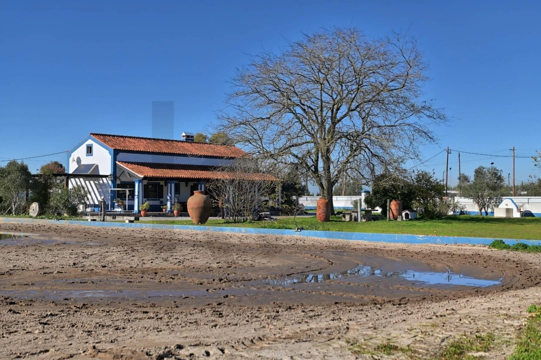 Moradia T2 para Venda em Atalaia e Alto Estanqueiro-Jardia Foto 35