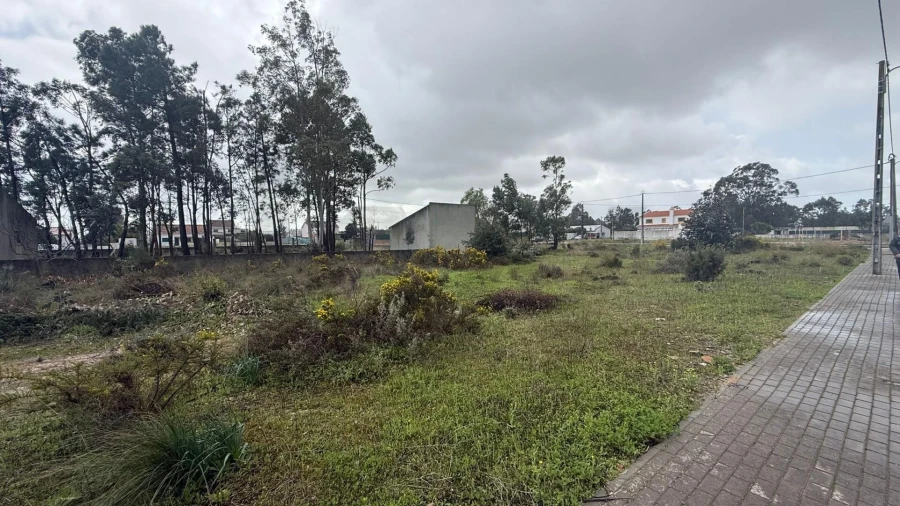 Terreno para Venda em Quinta do Anjo Foto 2