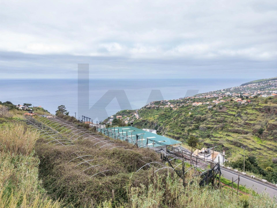 Terreno para Venda em Arco da Calheta Foto 15