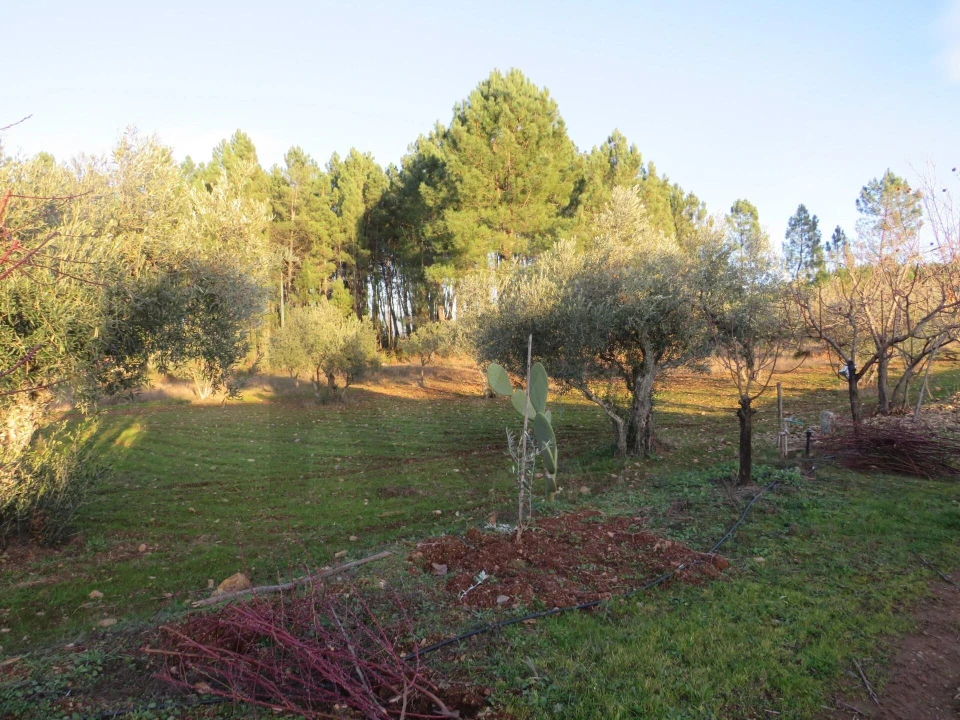 Quinta T3 para Venda em Enxames Foto 7