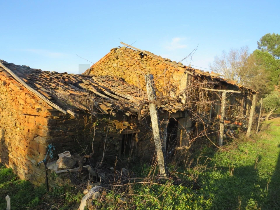 Quinta T3 para Venda em Enxames Foto 1