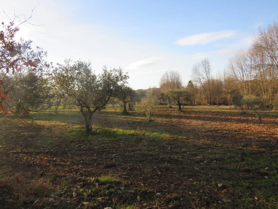 Quinta T3 para Venda em Enxames Foto 2