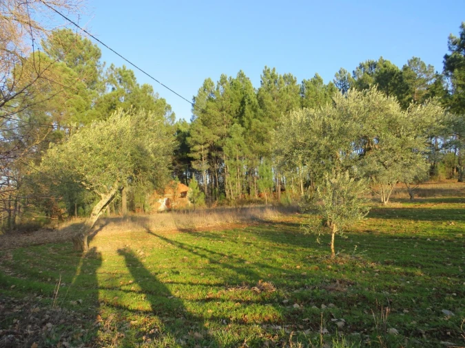 Quinta T3 para Venda em Enxames Foto 9