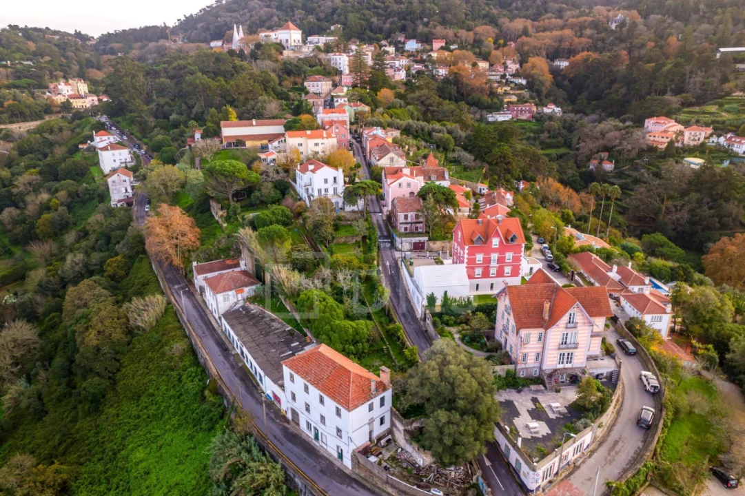 Negócio para Venda em Santa Maria e São Miguel, São Martinho, São Pedro Penaferrim Foto 16
