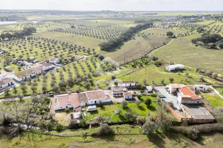 Moradia T2 para Venda em São Miguel de Machede Foto 43