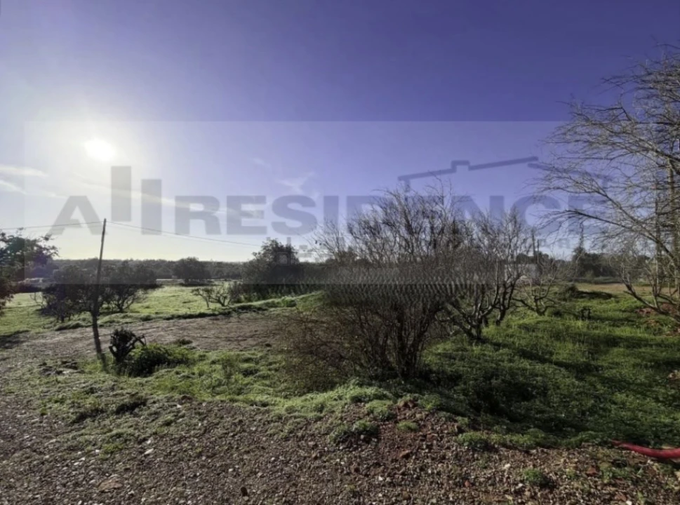 Terreno Agricola ou Rústico para Venda em Silves Foto 4