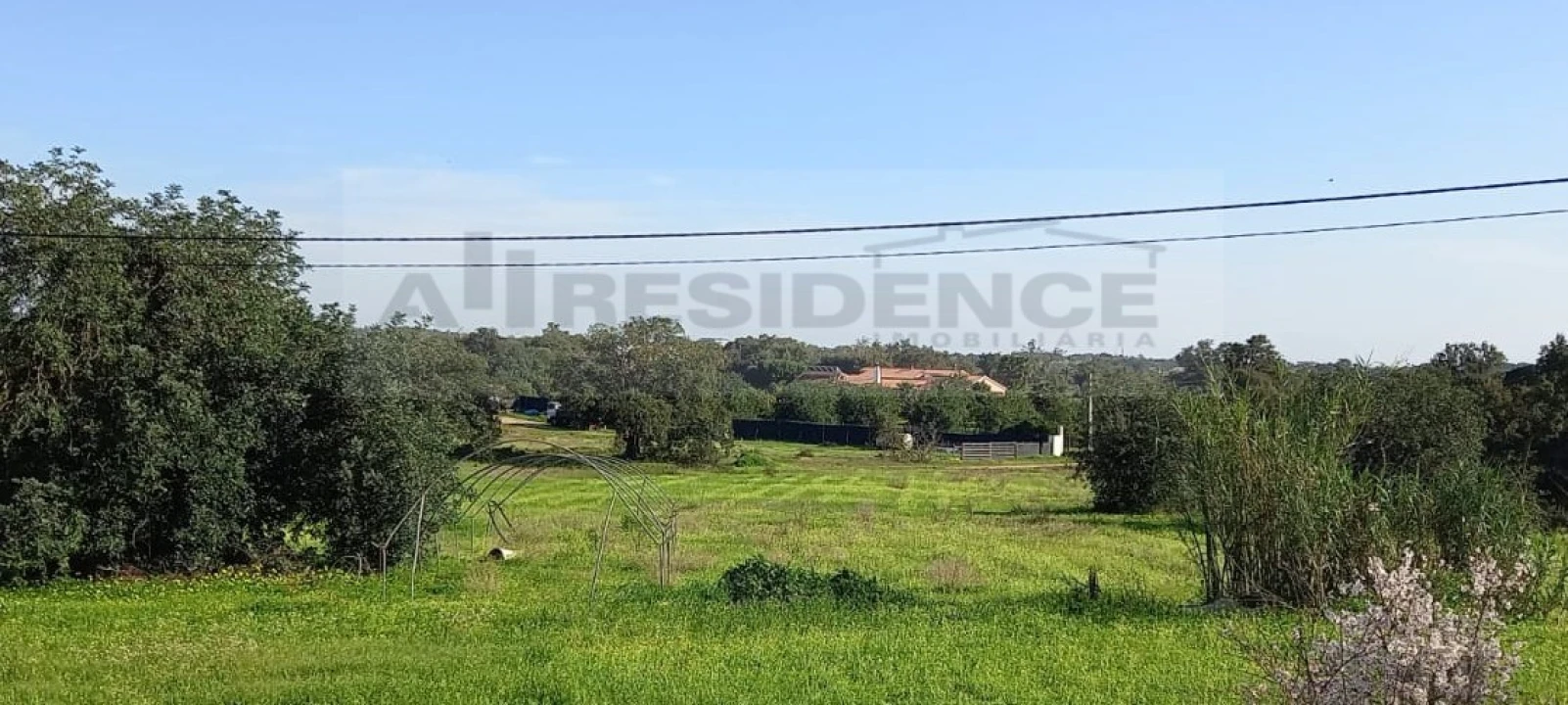 Terreno Agricola ou Rústico para Venda em Silves Foto 1