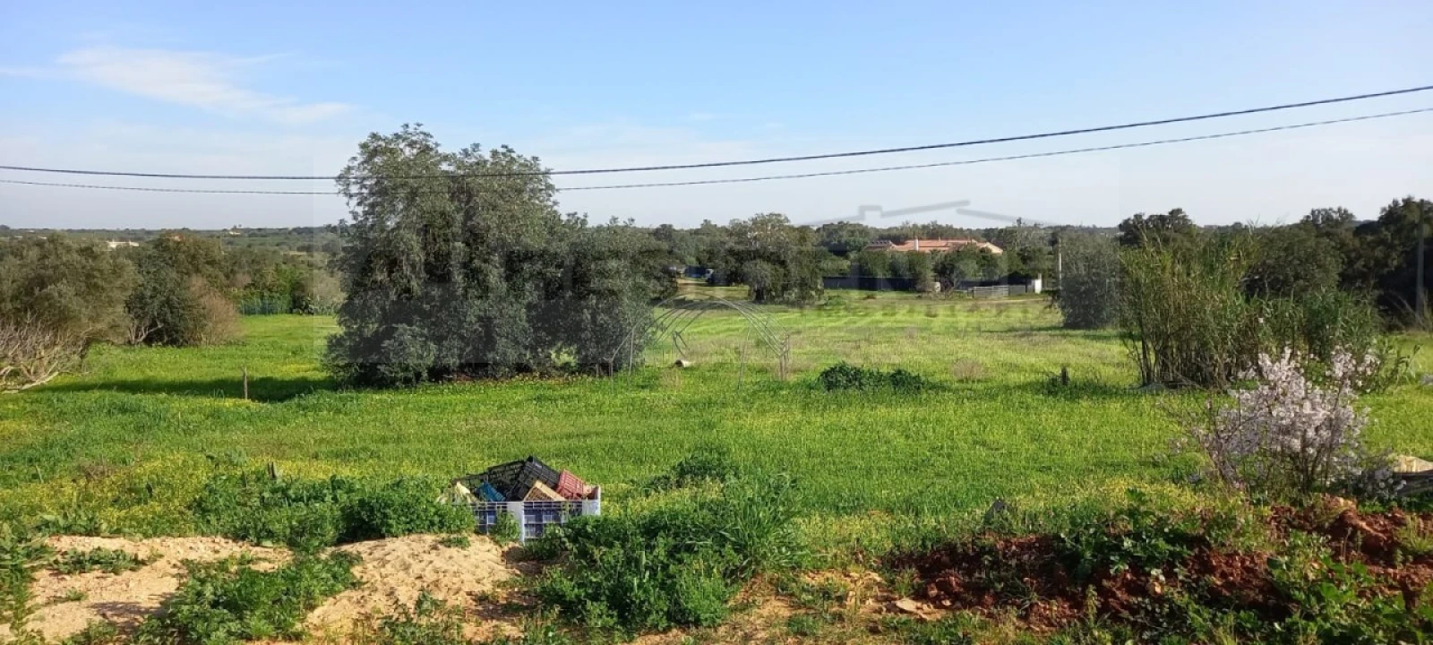 Terreno Agricola ou Rústico para Venda em Silves Foto 6