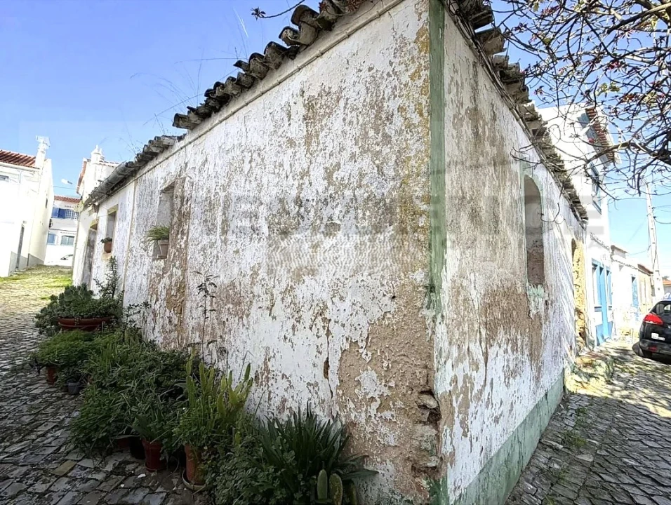Terreno para Venda em Alcantarilha e Pêra Foto 4