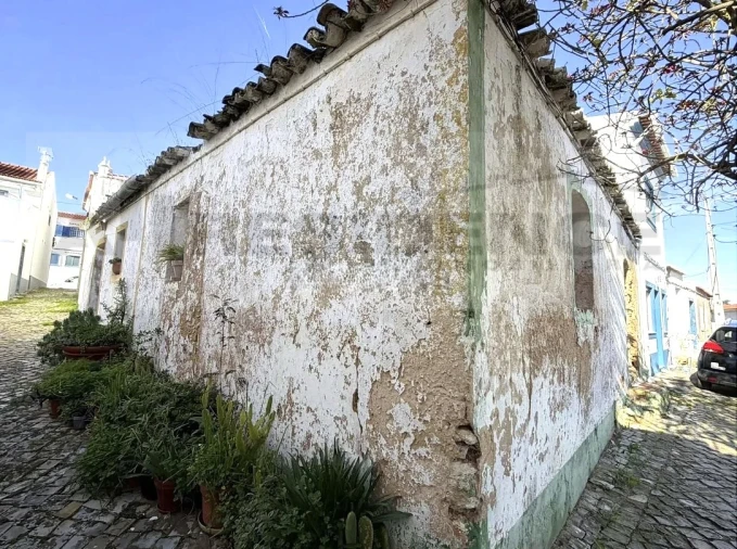 Terreno para Venda em Alcantarilha e Pêra Foto 3
