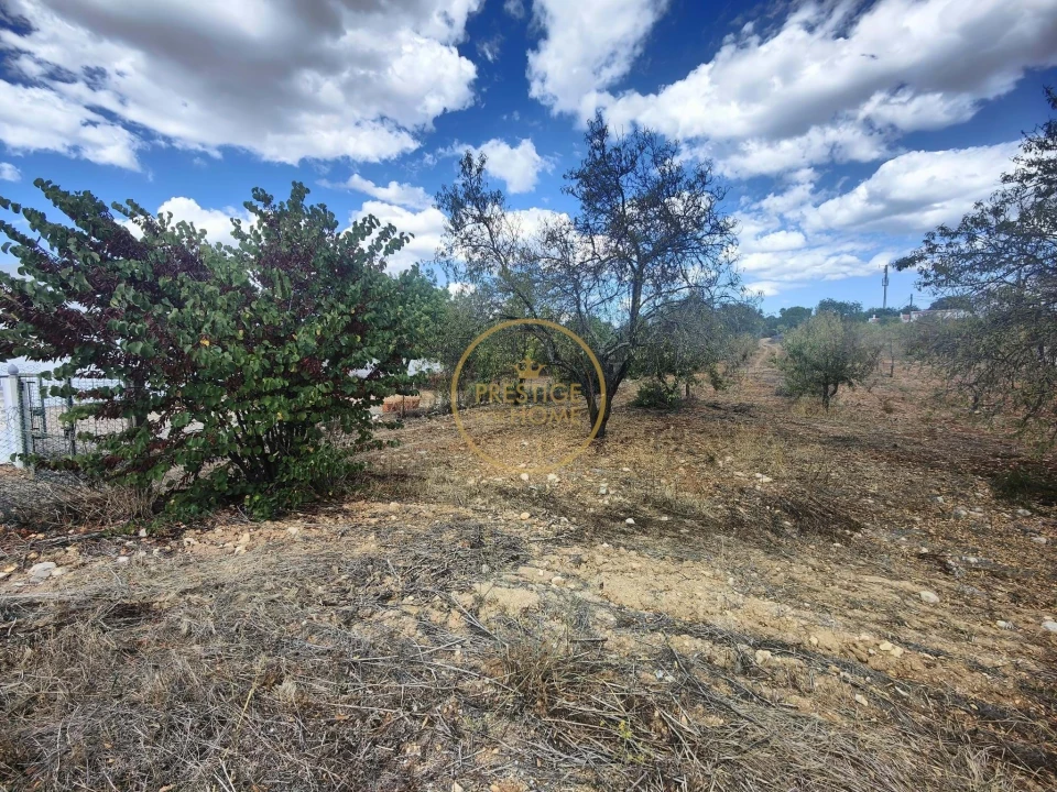 Terreno para Venda em Loule (São Clemente) Foto 6