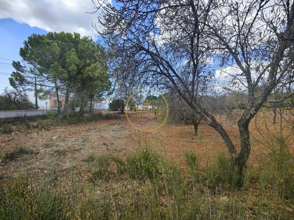 Terreno para Venda em Loule (São Clemente) Foto 1