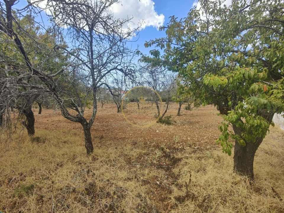 Terreno para Venda em Loule (São Clemente) Foto 2