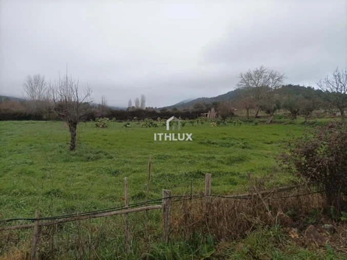 Quinta T2 para Venda em São Salvador da Aramenha Foto 12