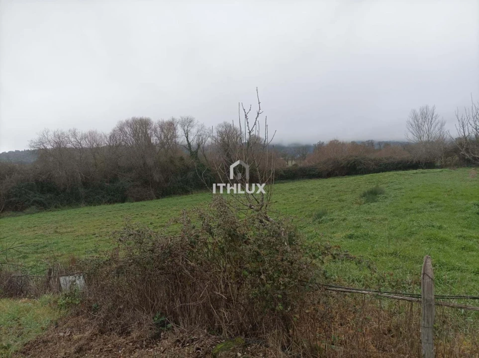Quinta T2 para Venda em São Salvador da Aramenha Foto 9